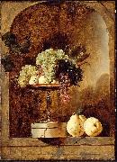 Frans Snyders Grapes Peaches and Quinces in a Niche oil on canvas